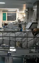 Imagem ilustrativa da imagem Quadrilha do falso exame médico é desarticulada no Rio