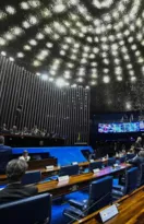 Imagem ilustrativa da imagem Senado cria regras para proteção de crianças na internet