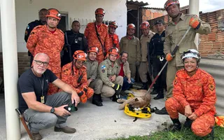 Imagem ilustrativa da imagem Surpresa na madrugada: onça-parda aparece em casa no Rio