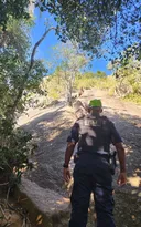 Imagem ilustrativa da imagem Trilha evacuada às pressas por incêndio em ponto turístico de Maricá