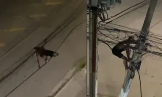 Imagem ilustrativa da imagem Veja ranking das cidades com mais furtos de cabos; São Gonçalo é vice