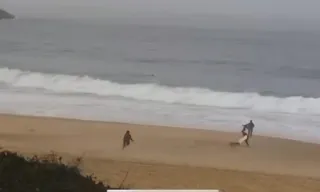 Imagem ilustrativa da imagem Vídeo: criança é atacada por cachorro em praia de Niterói