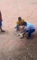 Imagem ilustrativa da imagem Vídeo emocionante: PM faz massagem cardíaca e salva cachorro