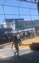 Imagem ilustrativa da imagem Vídeo mostra pânico em escola do Rio com invasão de pitbull