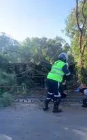 Imagem ilustrativa da imagem Vídeo: ônibus tomba e cai dentro de rio na Zona Oeste