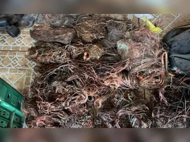 Imagem ilustrativa da imagem Dono de ferro-velho clandestino é preso durante operação no Rio