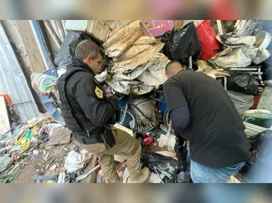 Mais de 20 toneladas de material prirata foram apreendidas