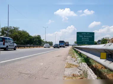 Animais de grande porte soltos colocam em risco a segurança de motoristas e pedestres