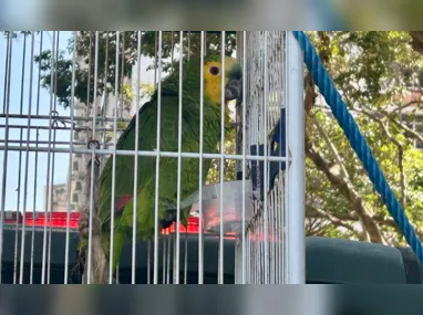 O caso ocorreu na rua General Castrioto