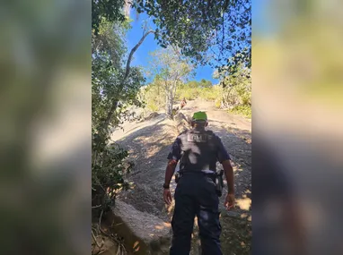 Bairro onde os cavalos foram atropelados
