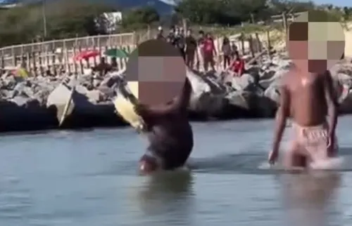 Banhista é flagrado segurando tartaruga em praia de Niterói