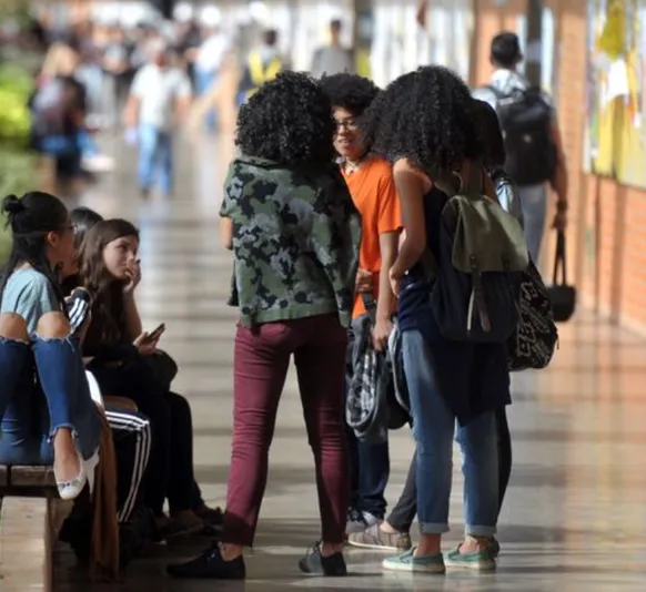 Santa Catarina veta cotas raciais nas universidades estaduais