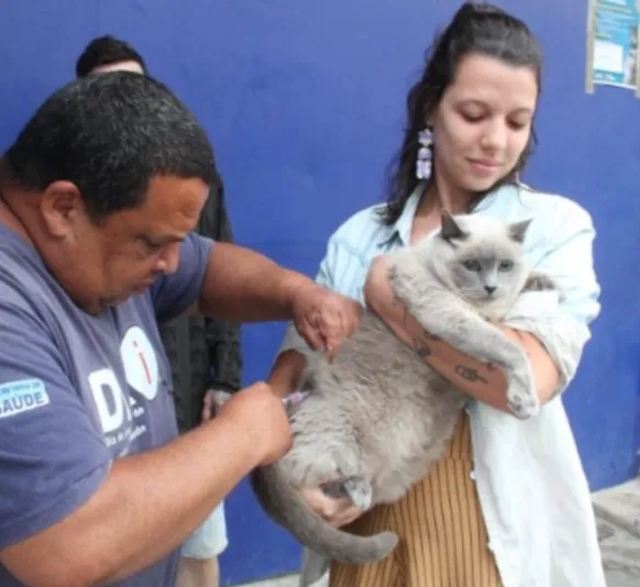 São Gonçalo tem vacinação para cães e gatos no sábado (20)
