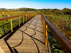 Dicas para ir ao Parque Orla Piratininga, em Niterói
