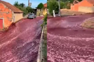 Imagem ilustrativa da imagem Cachoeira de vinho: tanques explodem e inundam cidade; vídeo