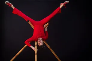 Imagem ilustrativa da imagem Espetáculo reúne acrobacias com bambu em teatro de Niterói