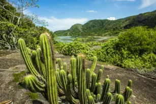 Imagem ilustrativa da imagem Niterói tem concurso de fotografia sobre belezas naturais da cidade