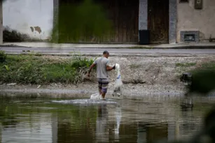 Imagem ilustrativa da imagem Pescadores ficam sem renda após mortandade de peixes em Niterói