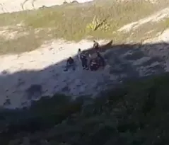 Imagem ilustrativa da imagem Turistas cariocas caem de falésia em praia do Rio Grande do Norte