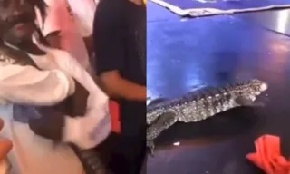 Imagem ilustrativa da imagem Vídeo: Lagarto de quase dois metros é solto em baile funk no Rio