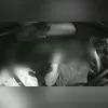 Imagem ilustrativa da imagem Assaltantes tocam o terror em carro de app com família: 'Me salva, Senhor'