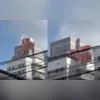 O cachorro seria da vizinha da vítima