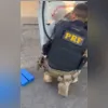 Droga estava em porta-malas de carro apreendido