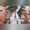 Imagem ilustrativa da imagem Dinossauro rouba a cena na Zona Sul de Niterói; vídeo