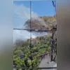 Imagens do projeto mostram como ficará a Amaral Peixoto