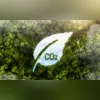 Imagem ilustrativa da imagem Mudanças climáticas: dicas de pequenas ações para salvar o planeta