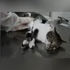 As obras integram cronograma de manutenção e melhorias
