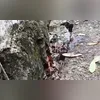Imagem ilustrativa da imagem Vazamento de água preocupa moradores em rua de Niterói