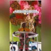 Ao abrir o picolé, o homem teve uma grande surpresa ao encontrar a serpente congelada