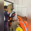 O menino amassou uma borboleta e pegou o líquido