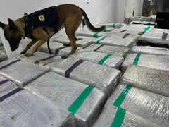 Caminhão frigorífico flagrado com toneladas de maconha