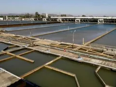 Sem água no Rio e na Baixada Fluminense; veja até quando