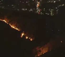 Incêndio atinge mata na Zona Norte do Rio