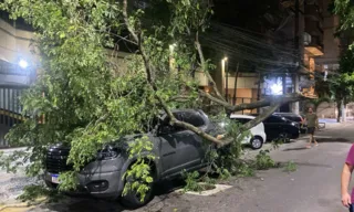 Imagem ilustrativa da imagem Árvore cai em cima de carro na Zona Sul de Niterói