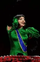 Imagem ilustrativa da imagem Ataque a bomba no show de Lady Gaga: plano era matar crianças e gays