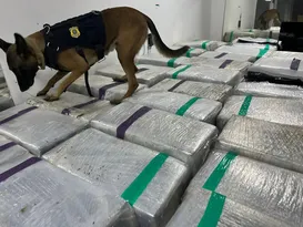Imagem ilustrativa da imagem Caminhão frigorífico flagrado com toneladas de maconha