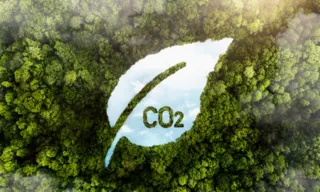 Imagem ilustrativa da imagem Mudanças climáticas: dicas de pequenas ações para salvar o planeta