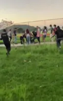 Imagem ilustrativa da imagem Pancadaria na UFF termina com feridos em Niterói; vídeo