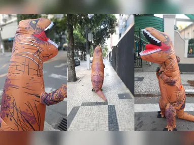 Imagem ilustrativa da imagem Dinossauro rouba a cena na Zona Sul de Niterói; vídeo