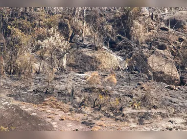 O calor intenso representa riscos à saúde da população quando há exposição prolongada
