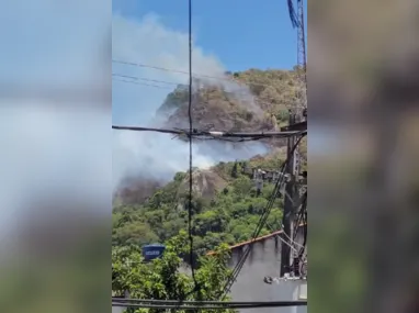 Área de mata ficou destruída pelo fogo no bairro Maceió; provocar incêndios é crime ambiental