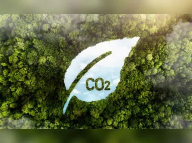 Imagem ilustrativa da imagem Mudanças climáticas: dicas de pequenas ações para salvar o planeta