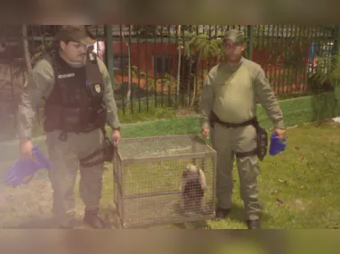 Acidente aconteceu na subida da Garganta, em Santa Rosa