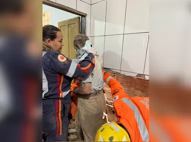 Imagem ilustrativa da imagem Vídeo: idoso tenta salvar galinha, mas acaba preso entre paredes