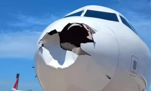 Avião da Latam ficou com o bico destruído após colisão com uma ave