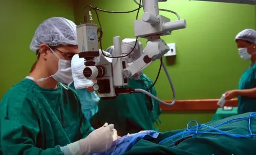 Em 2024, estima-se que cerca de 42 mil brasileiros estavam na fila de espera por um transplante de rim